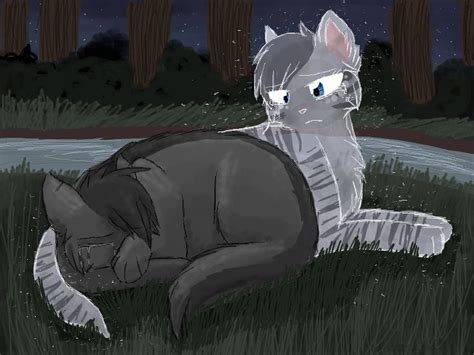 graystripe and silverstream - Make Your Own Warrior Cat! Photo (39848683) - Fanpop