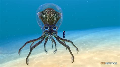 Image - Crabsquid (1).jpg | Subnautica Wiki | FANDOM powered by Wikia