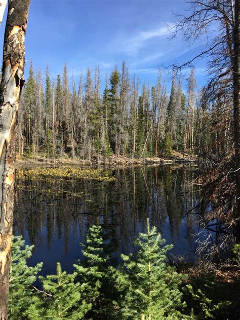 So quiet .. | Mountain camping, Colorado rockies, Rocky mountains