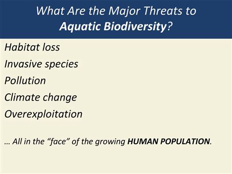 What Are the Major Threats to Aquatic Biodiversity? - ppt download