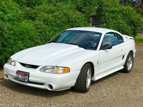 1995 Ford Mustang Cobra R | New Old Cars