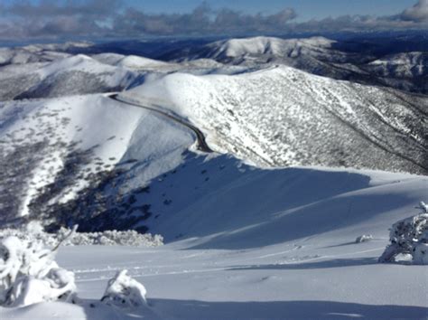 Australia Conditions Report | Mt. Hotham Backcountry: Razorback - SnowBrains