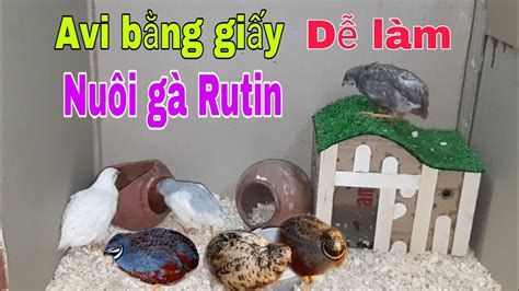 Cách đơn giãn để có chuồng đẹp.Nuôi gà Rutin kiểng - YouTube