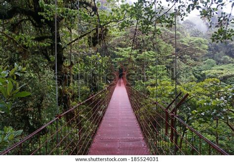 Suspended Bridge Monteverde Cloud Forest Monteverde Stock Photo (Edit ...