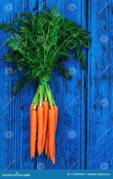 A Bunch of Carrots. Fresh Raw Carrots with Stems Stock Photo - Image of ...