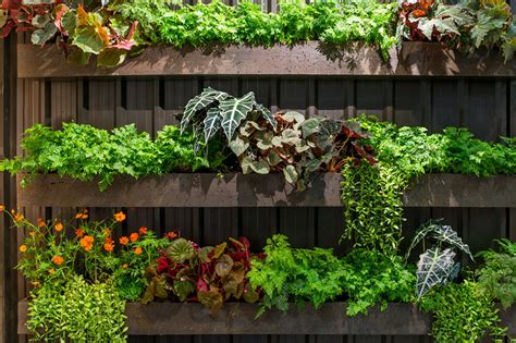 Vertical Gardens | GreenStories