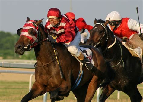 Top 70+ imagen carrera de caballos en ingles - Thptnganamst.edu.vn