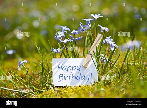 „Happy Birthday! with spring flowers Stock Photo - Alamy