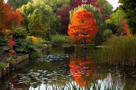 Hillier Gardens. Southampton. | Nature, Pretty pictures, Landscape