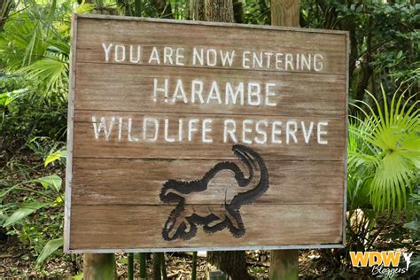 Kilimanjaro Safaris at Disney's Animal Kingdom - WDWBLOGGERS