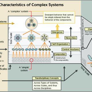 The complex adaptive systems Models Characteristic of complex adaptive... | Download Scientific ...