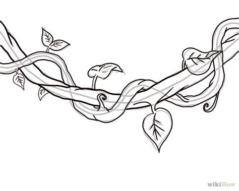 How to Draw a Jungle Vine: 7 Steps - wikiHow | Vine drawing, Flower drawing, Jungle drawing