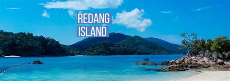 The Ultimate Guide to Snorkeling Redang Island - Punch Travel