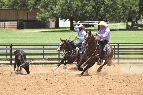 Team Roping Clinics 2024 - Katee Matilde