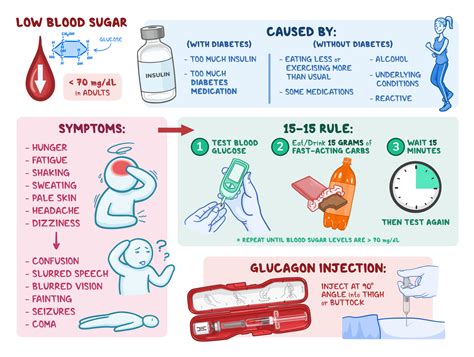 Osmosis - Hypoglycemia: What Is It, Causes, Testing, Treatment, and More