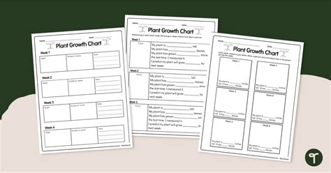 Plant Growth Chart - Worksheet | Teach Starter