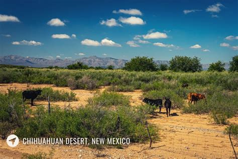 5 Fascinating Scenic Drives in New Mexico | Family Road Trip