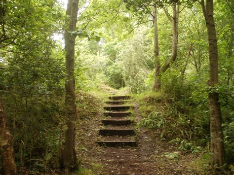 File:Steps in Windy Nook Nature Reserve.JPG - Wikipedia, the free encyclopedia