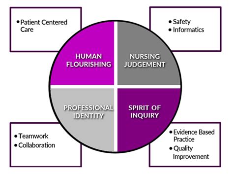 Conceptual Framework Nursing Examples