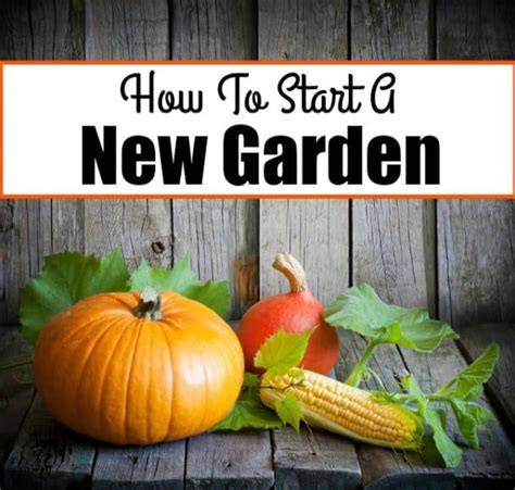 22 Brilliant Vegetable Gardening Tips For Beginners - Life Is Just Ducky