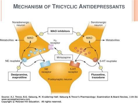 Antidepressants -pharmacology