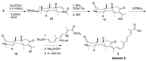 The Sarlah Synthesis of Stelletin E