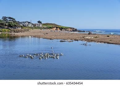 226 Moonstone Beach Sunset Images, Stock Photos, 3D objects, & Vectors | Shutterstock