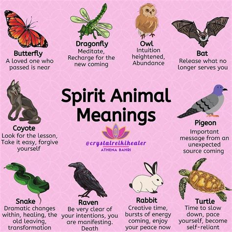 Have you been seeing spirit animals? In dreams or real life? Are one of these your personal ...