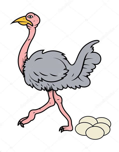 Cartoon ostrich eggs | Cartoon Ostrich Eggs — Stock Vector © baavli ...