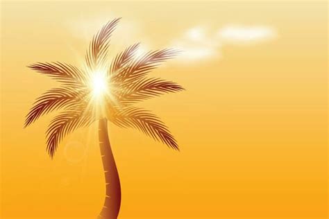 Palm Tree Sun Vector Art, Icons, and Graphics for Free Download