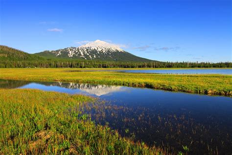 Mt Bachelor Summer (Skyler Hughes) Bend, Central Oregon, Photography ...