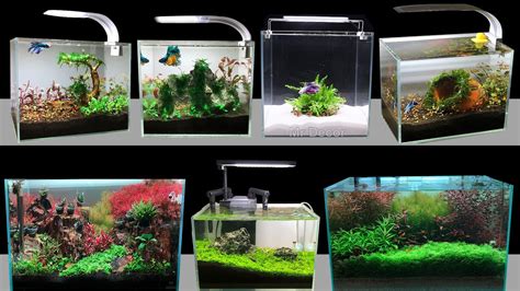 Top 7 How To Make Mini Planted Aquarium Fish Tank At Home - DIY ...