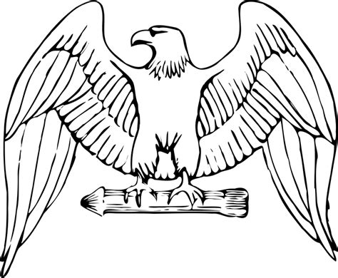 Eagle Outline Cliparts Bald Eagle Coloring Page Free - vrogue.co