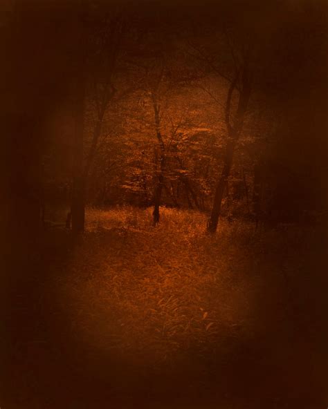 Dark Forest by Zankruti-Murray on DeviantArt