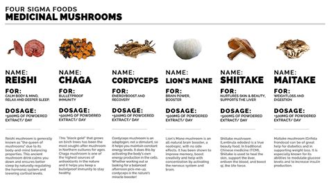 The Healing Power of Mushrooms | stanton-company.com