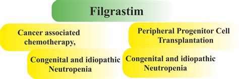 Filgrastim – Drug Details