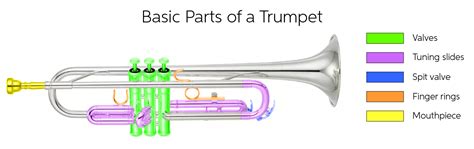 Trumpet Quickstart Guide | Sweetwater