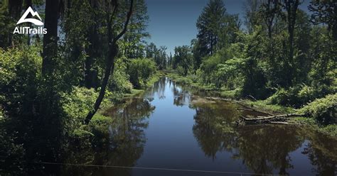 Best Trails in Phinizy Swamp Nature Park - Georgia | AllTrails