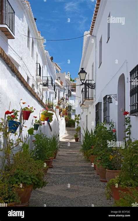 Alley with potted plants, white villages, Frigiliana, Costa del Sol ...