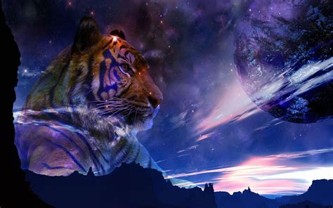 Space Tiger Wallpapers - Top Free Space Tiger Backgrounds - WallpaperAccess