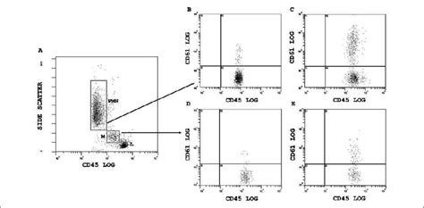 Figure2:Identification of CD45-positiveleukocytepopulationsand ...