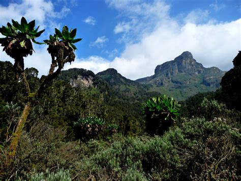 List of all Uganda National Parks - Habari Uganda Tours