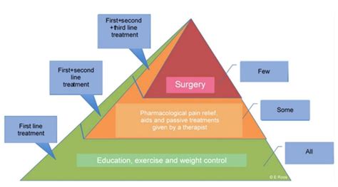 Osteoarthritis Treatment Pyramid - Thrive Now Physiotherapy