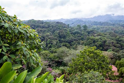 Costa Rica, South America | Costa Rica, South America | Flickr