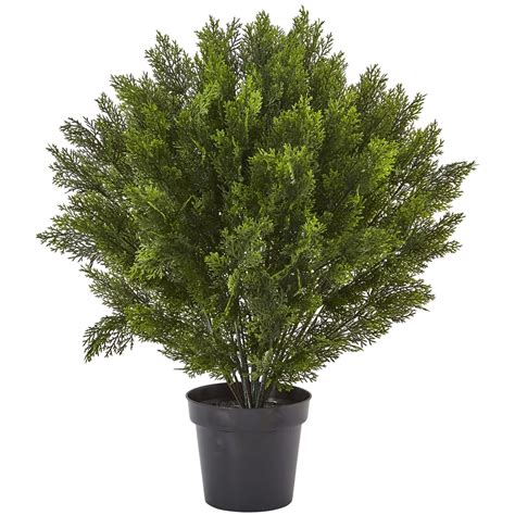 3’ Cedar Bush (Indoor/Outdoor) | Nearly Natural