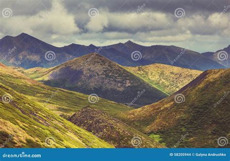 Polar tundra stock photo. Image of peaceful, season, quiet - 58205944