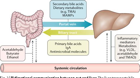 Table 1 from The gut–liver axis and the intersection with the ...