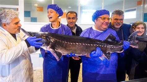 Migrationology - $4,000 Caviar!! HUGE BELUGA STURGEON - Black Caviar + Kebabs | Caspian Sea, Iran!