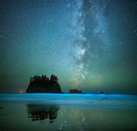 Second Beach Bioluminescence | Second Beach, LaPush, Washington | Craig Goodwin Photography