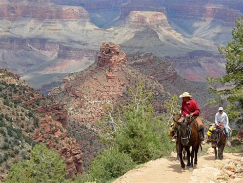 Grand Canyon Mule Rides